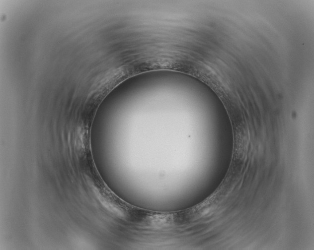 X0000086890126200704231138