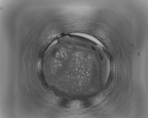 X0000086890127200704231138