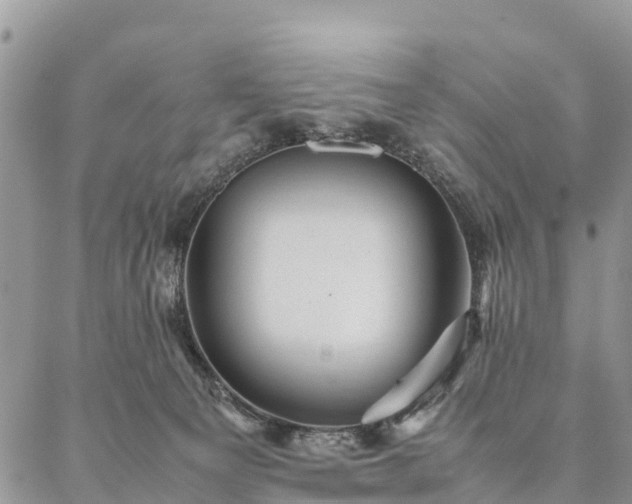 X0000086890129200704231138