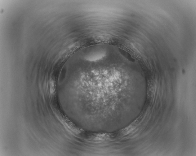 X0000086890130200704231138