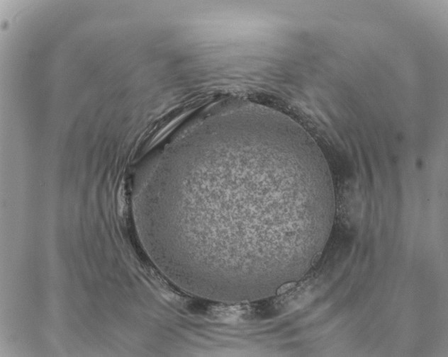 X0000086890131200704231137