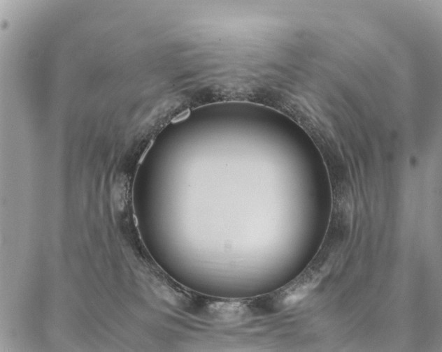 X0000086890133200704231137