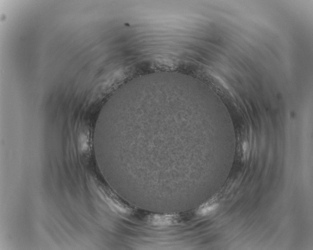 X0000086890134200704231137