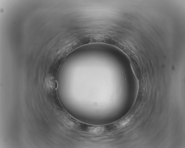 X0000086890135200704231137