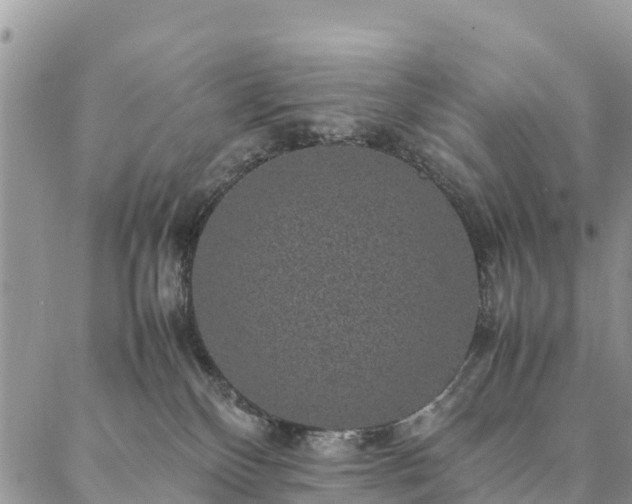 X0000086890136200704231137