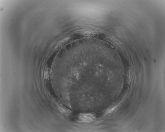 X0000086890137200704231137