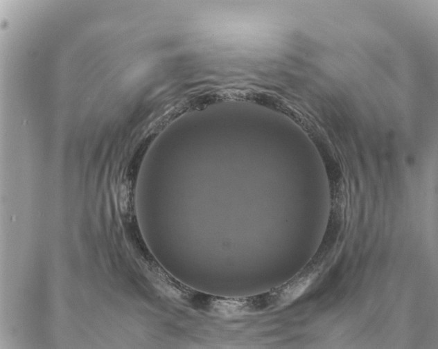 X0000086890139200704231137