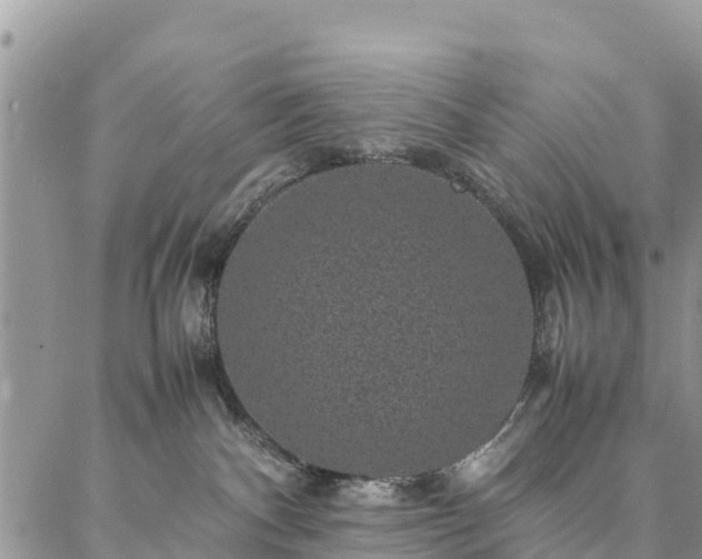 X0000086890140200704231137