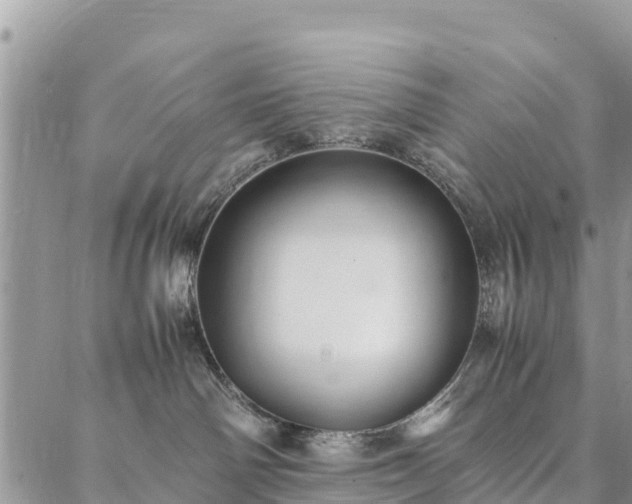 X0000086890142200704231137