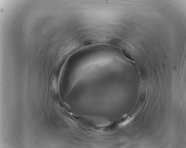 X0000086890143200704231137