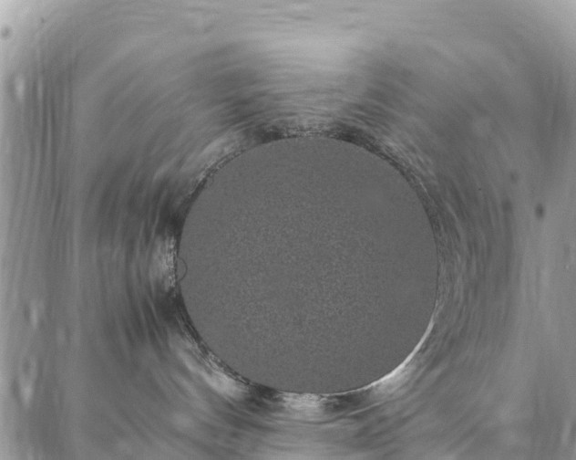 X0000086890144200704231137