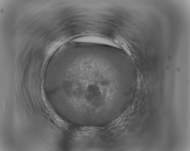 X0000086890145200704231136