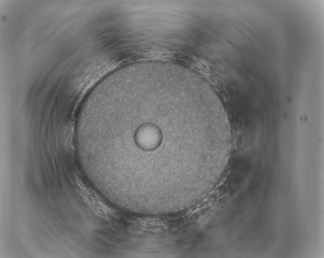 X0000086890146200704231137