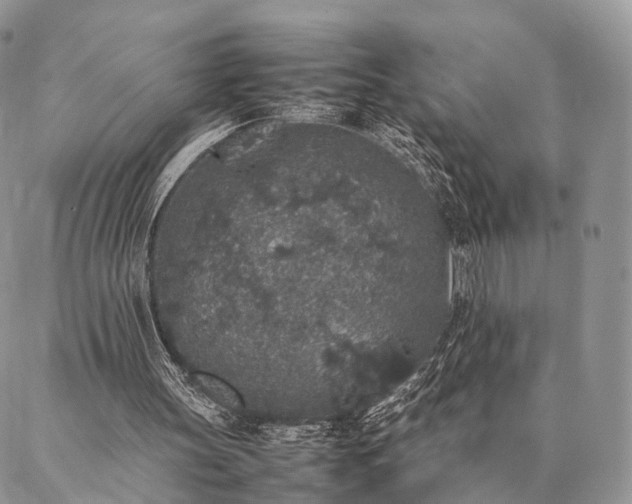 X0000086890147200704231137