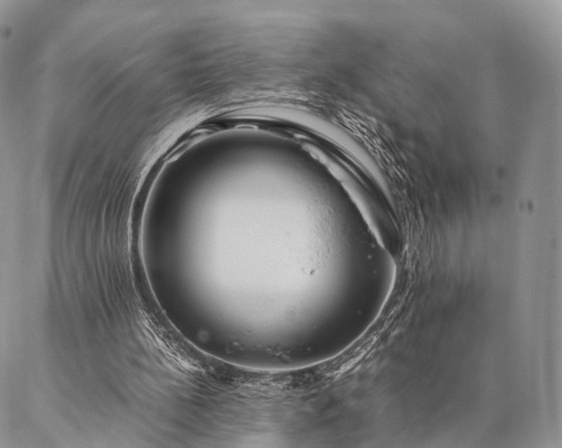 X0000086890148200704231137