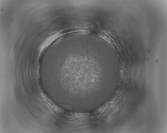 X0000086890149200704231137