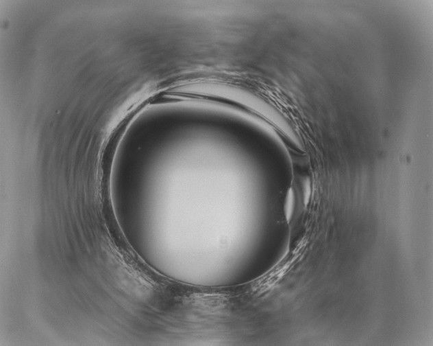 X0000086890150200704231137