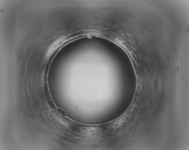 X0000086890151200704231137