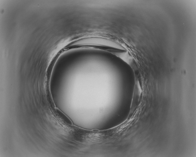 X0000086890152200704231137