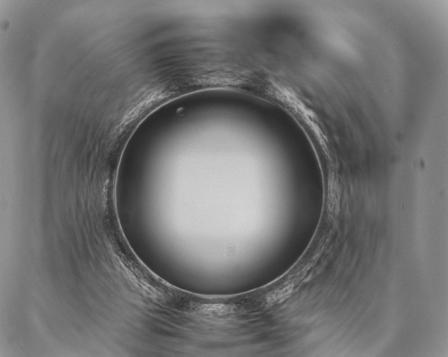 X0000086890153200704231137