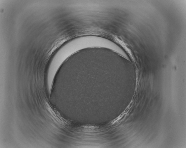 X0000086890154200704231137