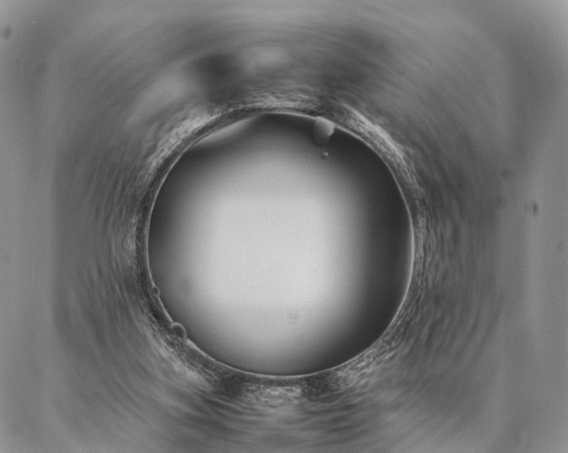 X0000086890155200704231137