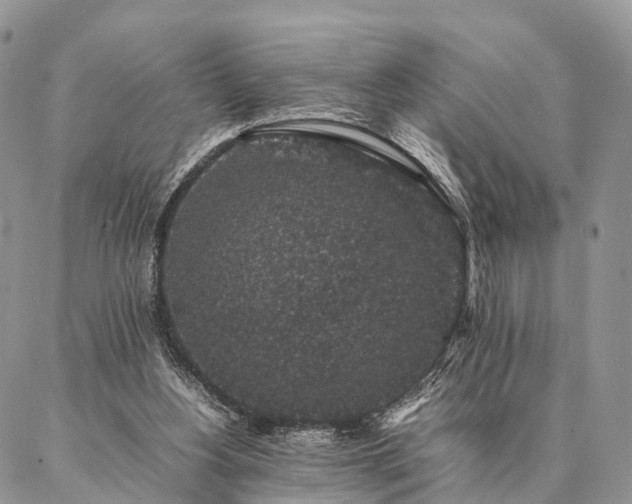 X0000086890156200704231137