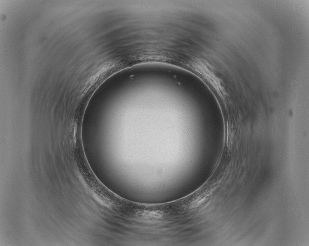 X0000086890157200704231137