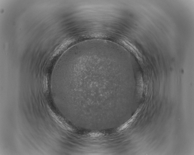 X0000086890158200704231137