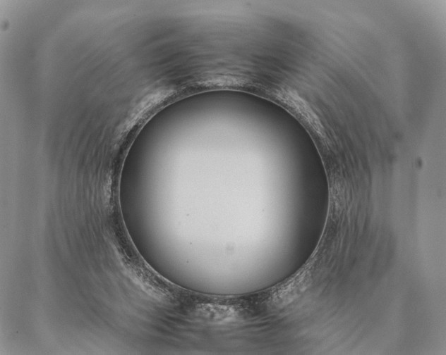 X0000086890159200704231137