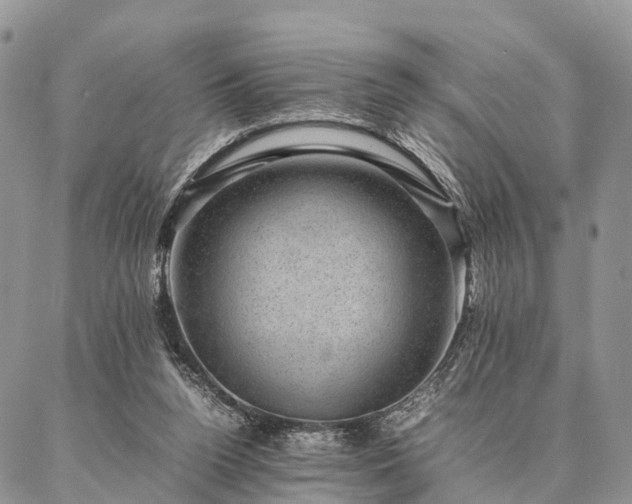 X0000086890160200704231137