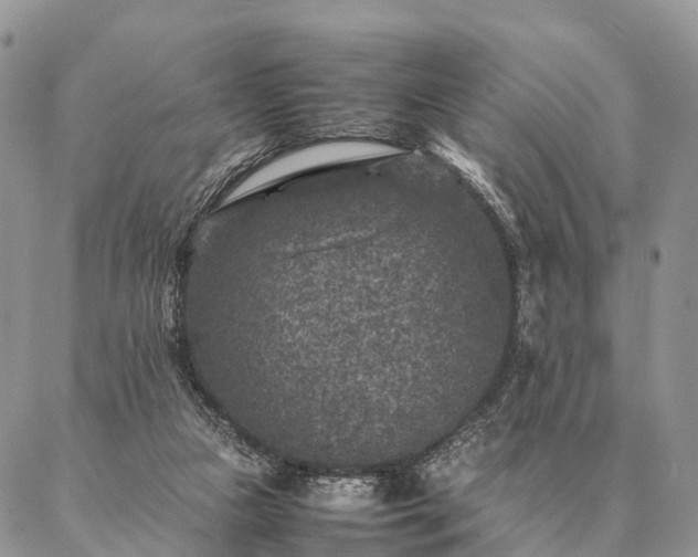 X0000086890161200704231137