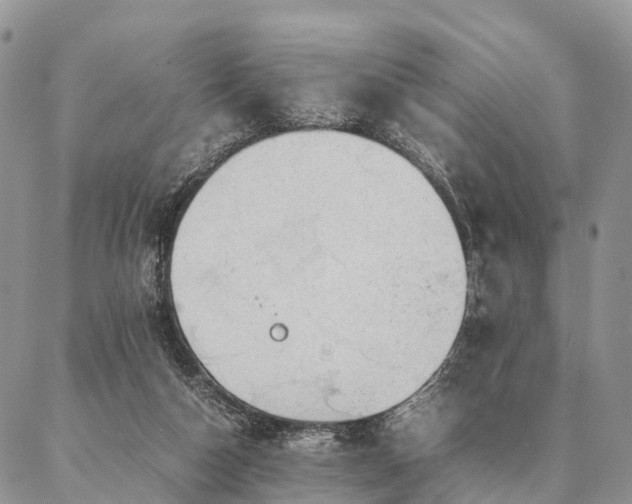 X0000086890162200704231137