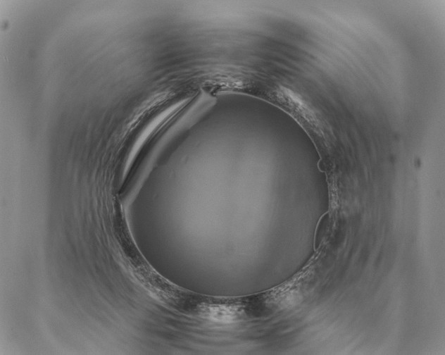 X0000086890163200704231137