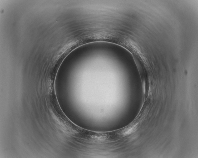 X0000086890164200704231137