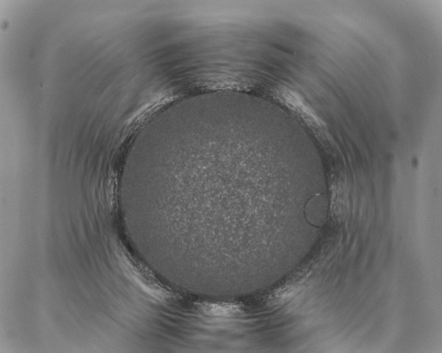 X0000086890165200704231137