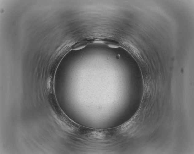 X0000086890166200704231137