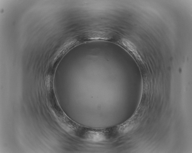 X0000086890167200704231137