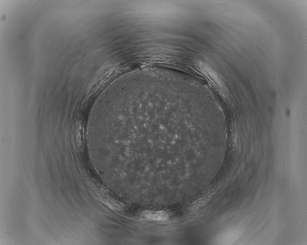 X0000086890169200704231137