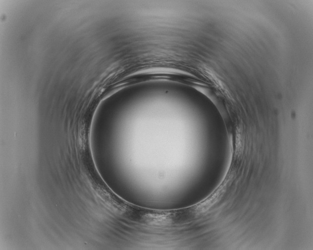 X0000086890170200704231137