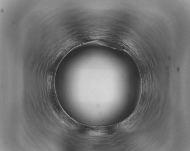 X0000086890171200704231137