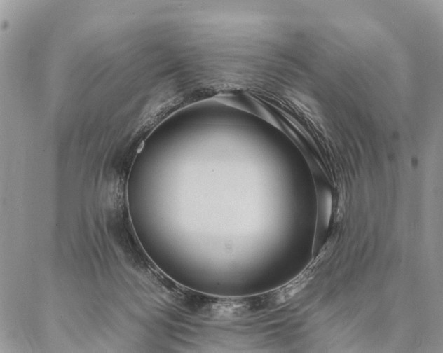 X0000086890172200704231137