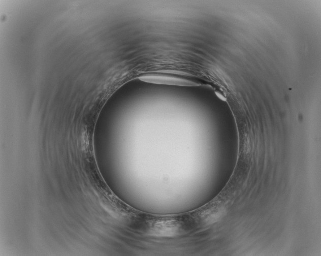 X0000086890173200704231137