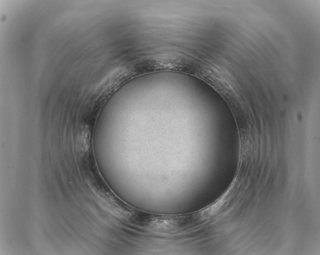 X0000086890174200704231137