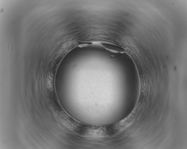 X0000086890175200704231137