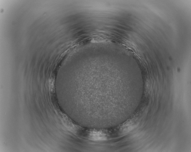 X0000086890177200704231137