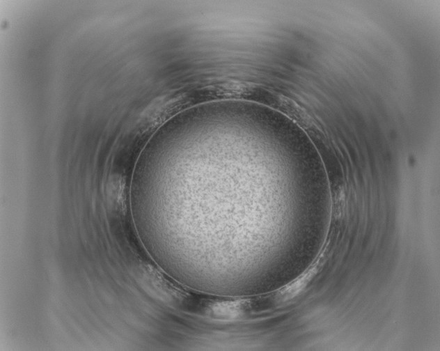 X0000086890178200704231137