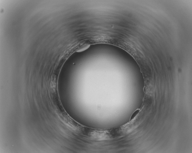 X0000086890179200704231137