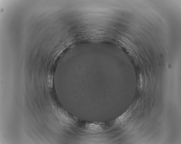 X0000086890180200704231137