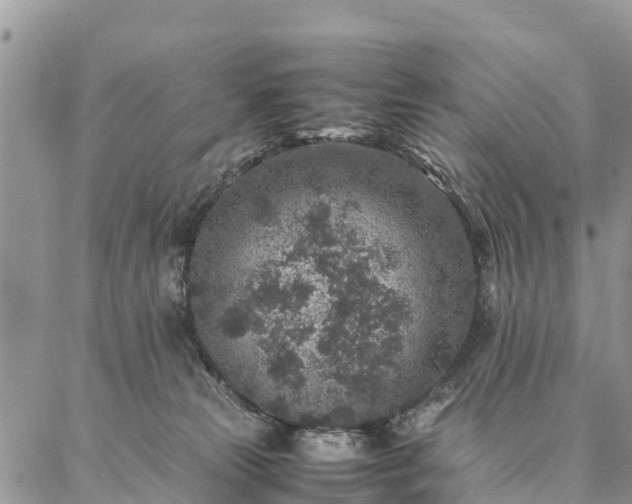 X0000086890181200704231137